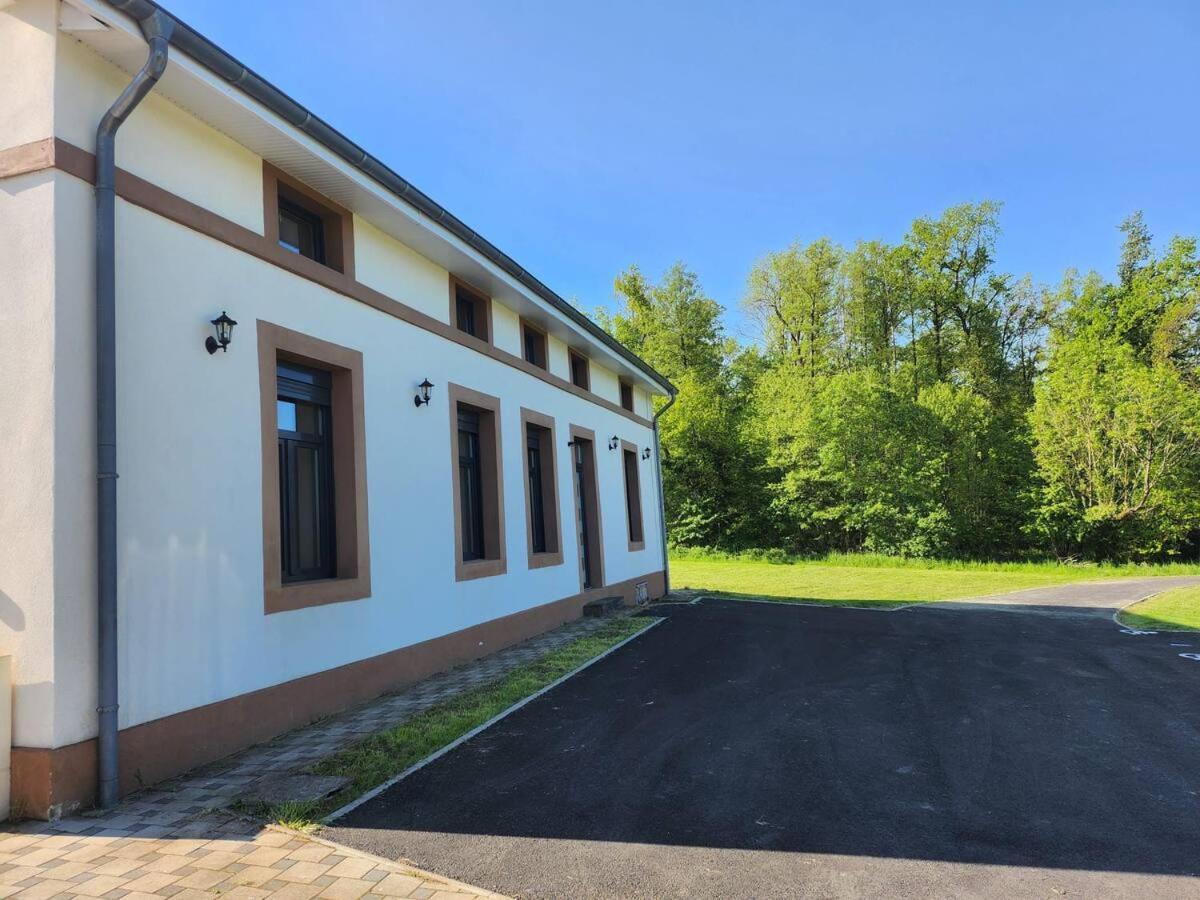 Loft Spacieux En Pleine Foret Bining Εξωτερικό φωτογραφία
